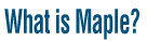 What is Maple?