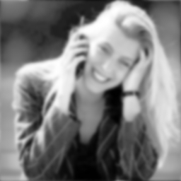 Engineering software solutions from Maplesoft