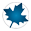 Maple Icon