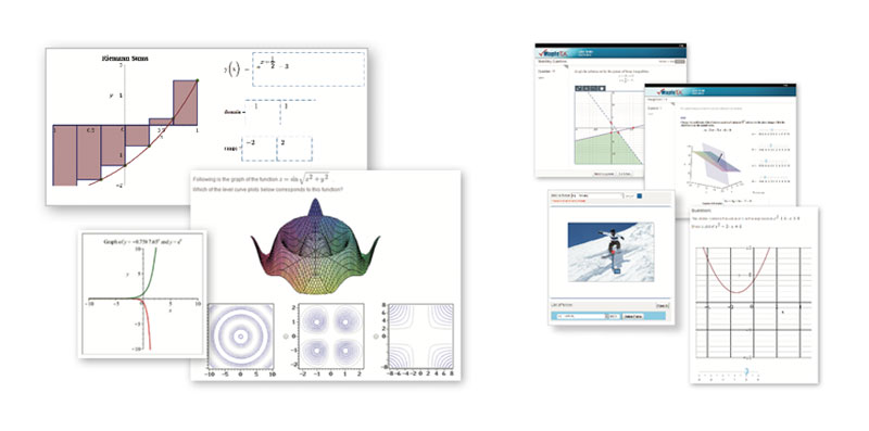 Maple T.A. visualization and question types features'