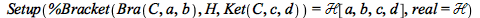 Setup(%Bracket(Bra(C, a, b), H, Ket(C, c, d)) = `&Hscr;`[a, b, c, d], real = `&Hscr;`)