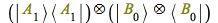 `&otimes;`(`*`(Ket(A, 1), `*`(Bra(A, 1))), `&otimes;`(Ket(B, 0), Bra(B, 0)))