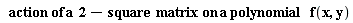 "  action of a  2-square  matrix on a polynomial   f(x,y)"