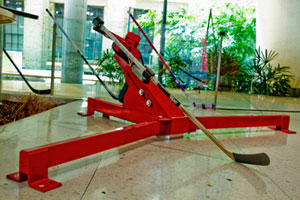 Hockey Stick MapleSim Case Study